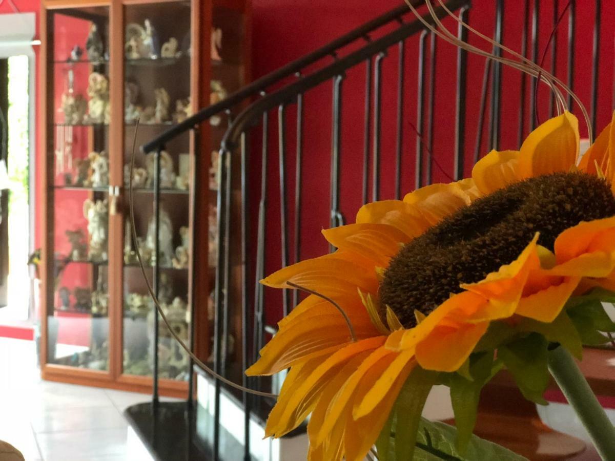 El Nur Bed & Breakfast San Vito Lo Capo Luaran gambar
