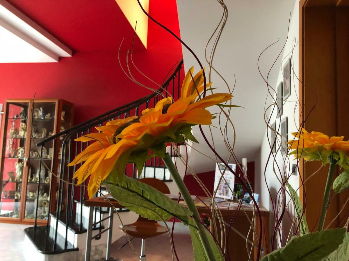 El Nur Bed & Breakfast San Vito Lo Capo Luaran gambar